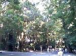 060902_1516~0001.jpg