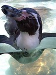 060903_1243~0001.jpg